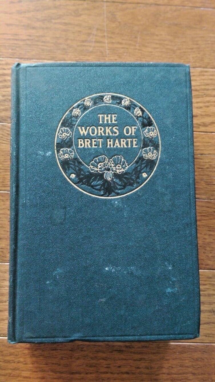 The Works of Bret Harte - Vol V Sally Dows - McKinlay Stone & Mackenzie 1893